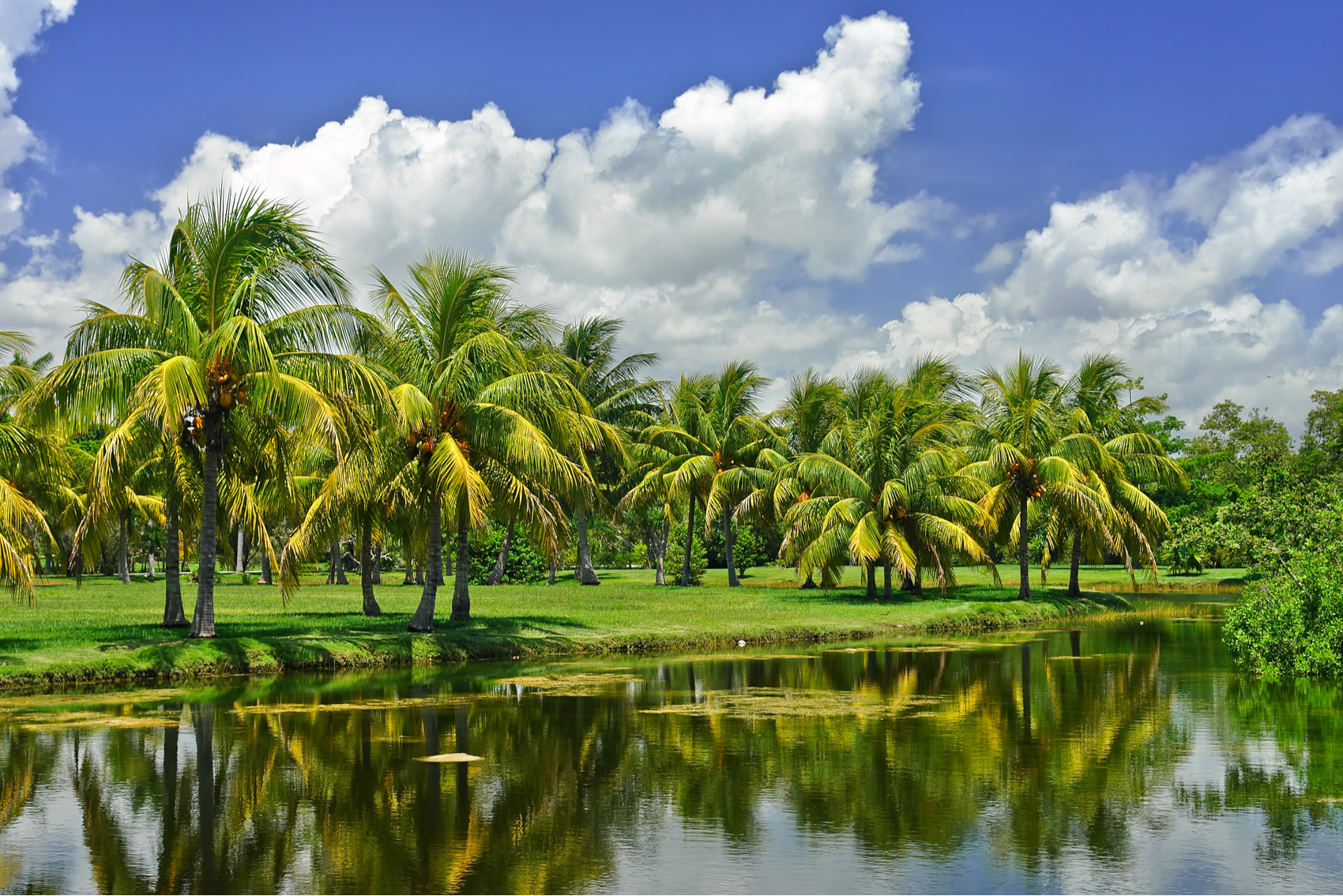 Le jardin botanique à Miami