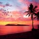 #Coucherdesoleil : Les îles en rose