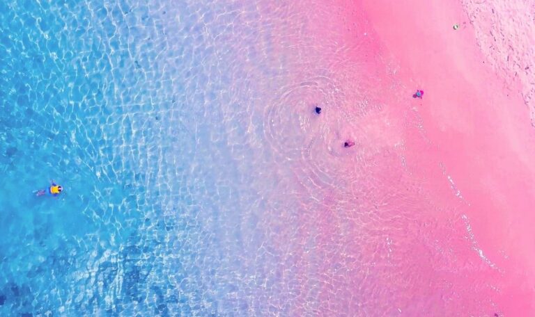 plage rose