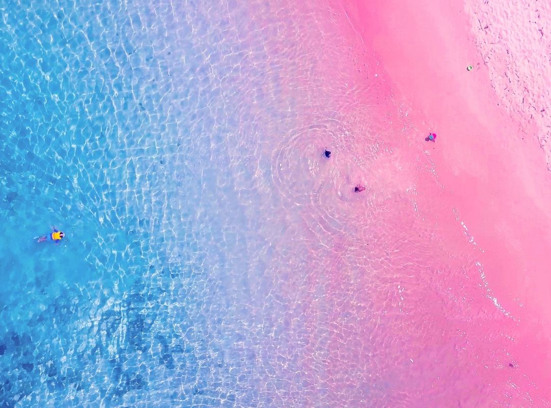plage rose