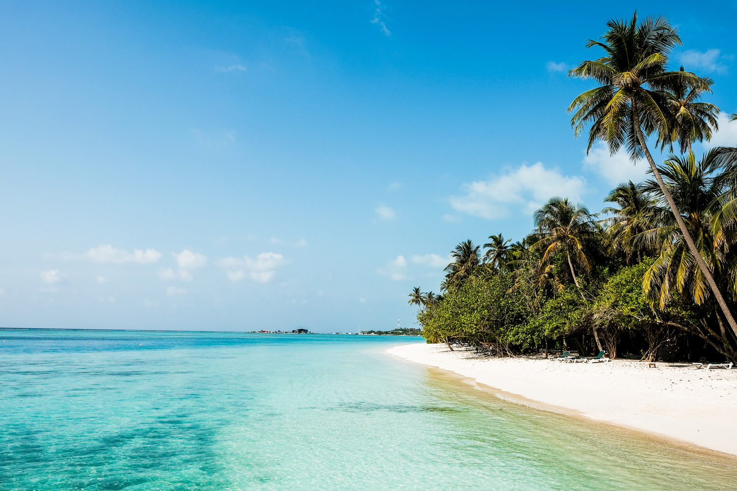 Plage en vert