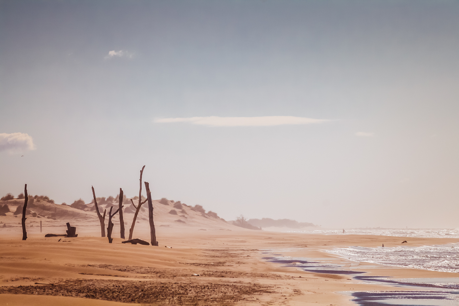 Plage de espiguette