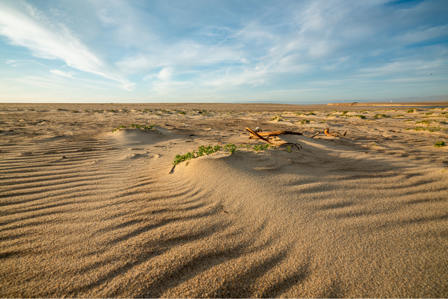 Le sable l'été