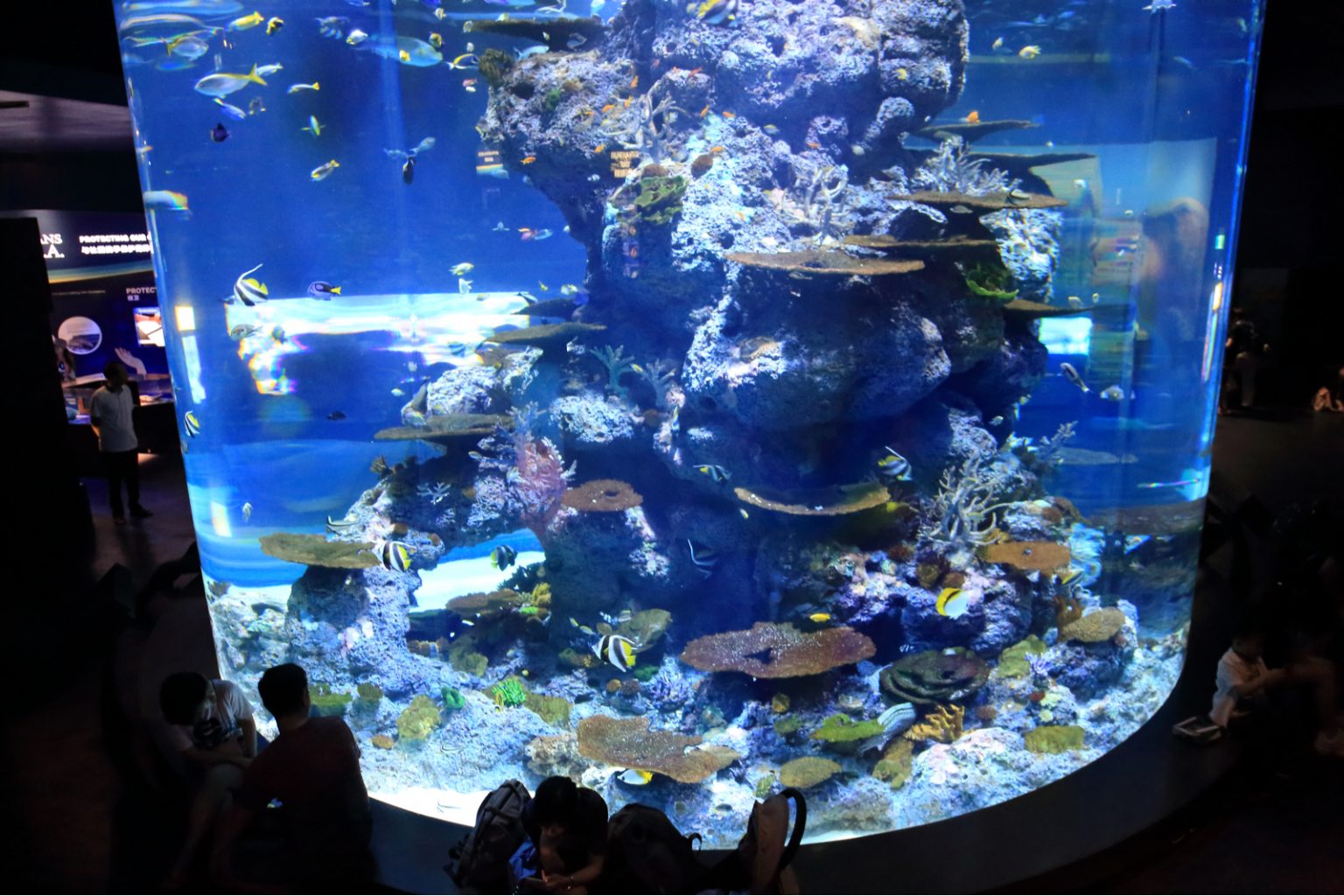 Top 10 des plus grands aquariums au monde Chéri fais tes valises