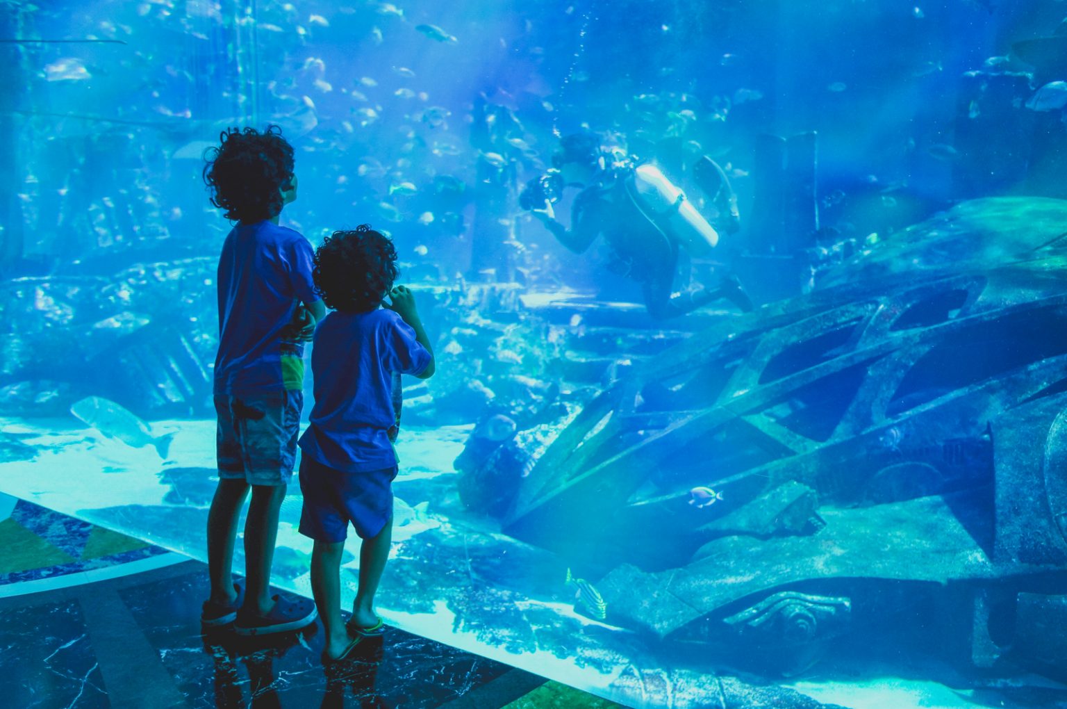 Top 10 des plus grands aquariums au monde Chéri fais tes valises Top 10 des plus grands aquariums au monde Chéri fais tes valises