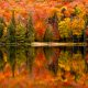 5 raisons pour visiter le Canada en automne