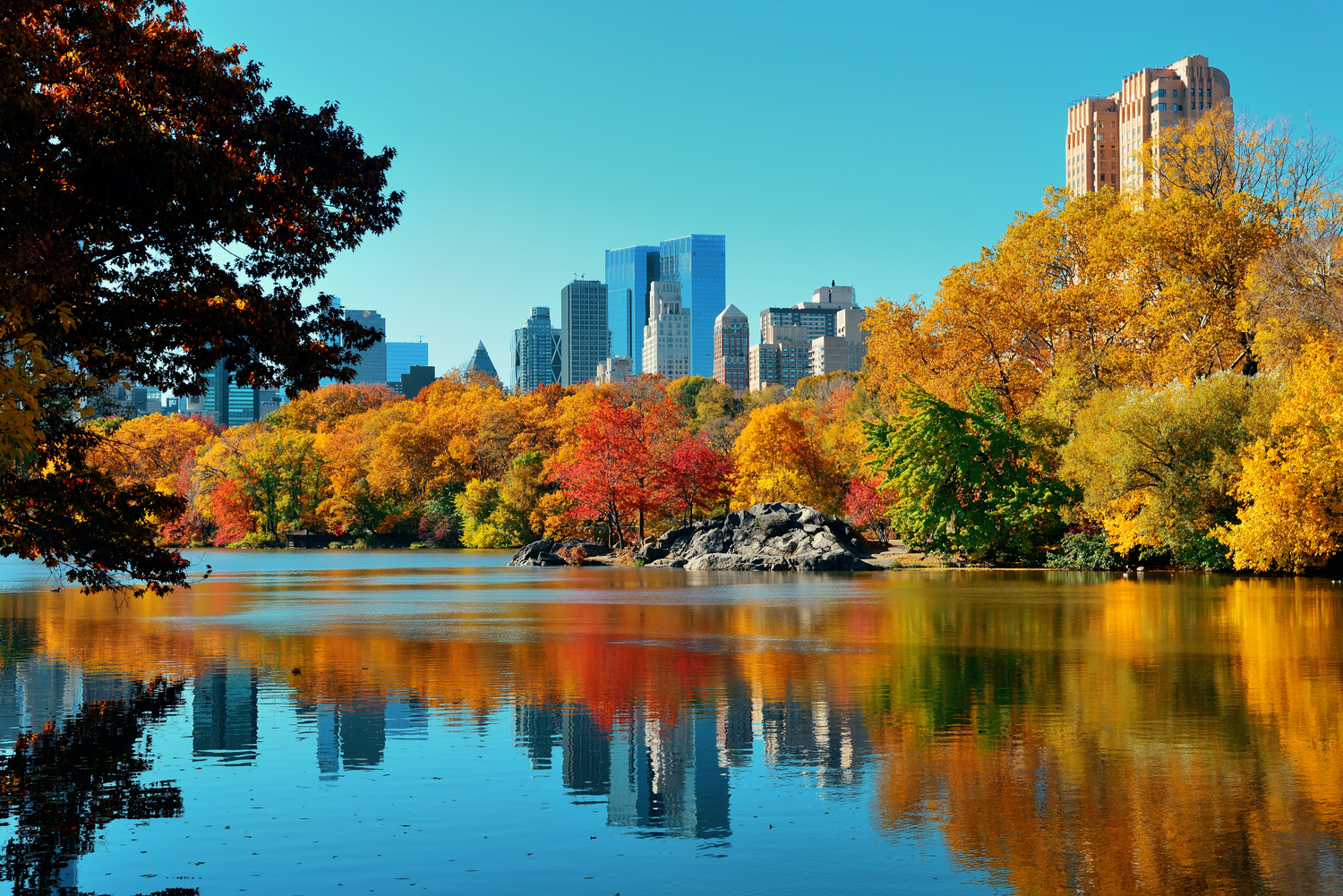 Central Park à New York