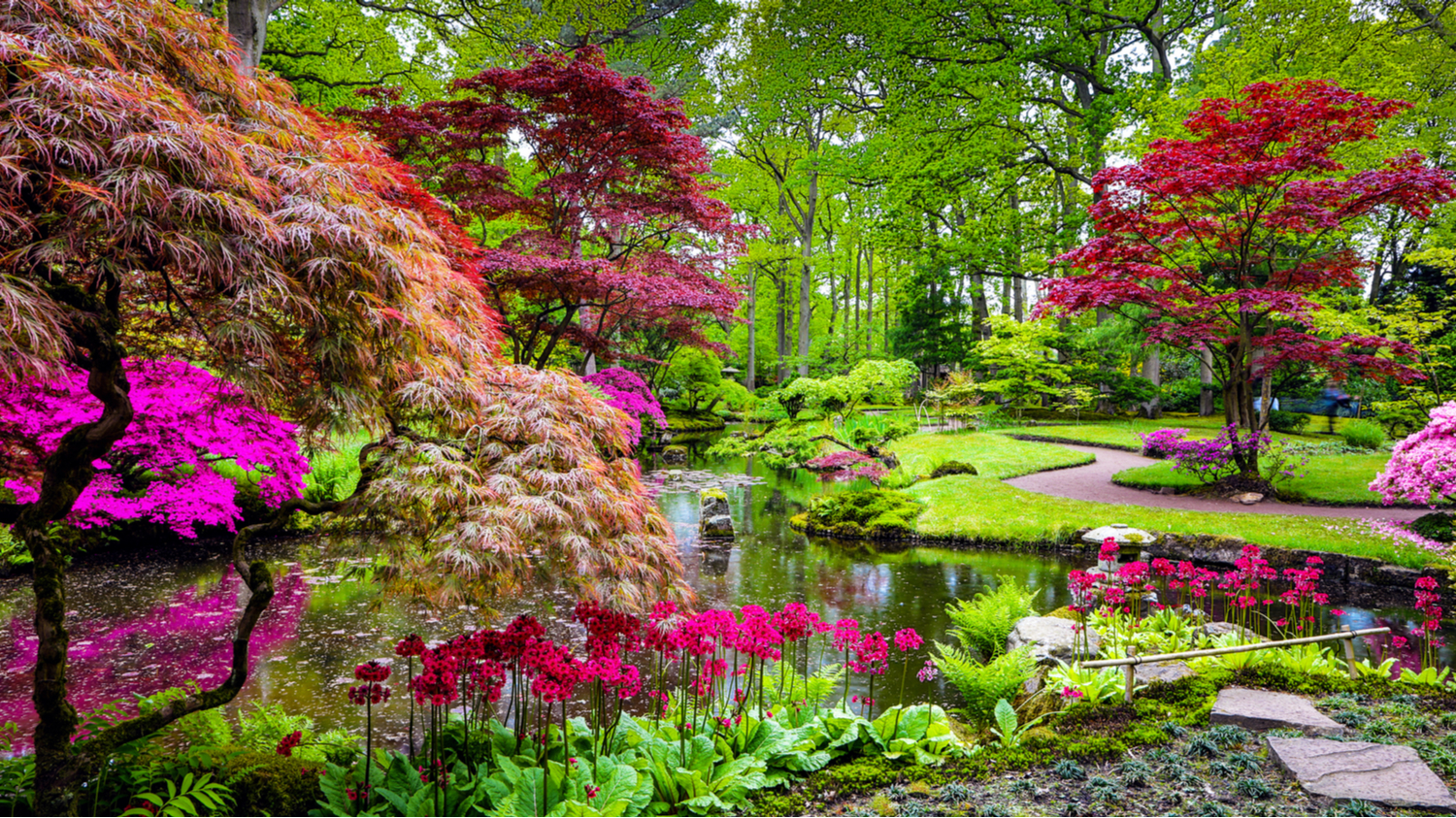 Le jardin au japon