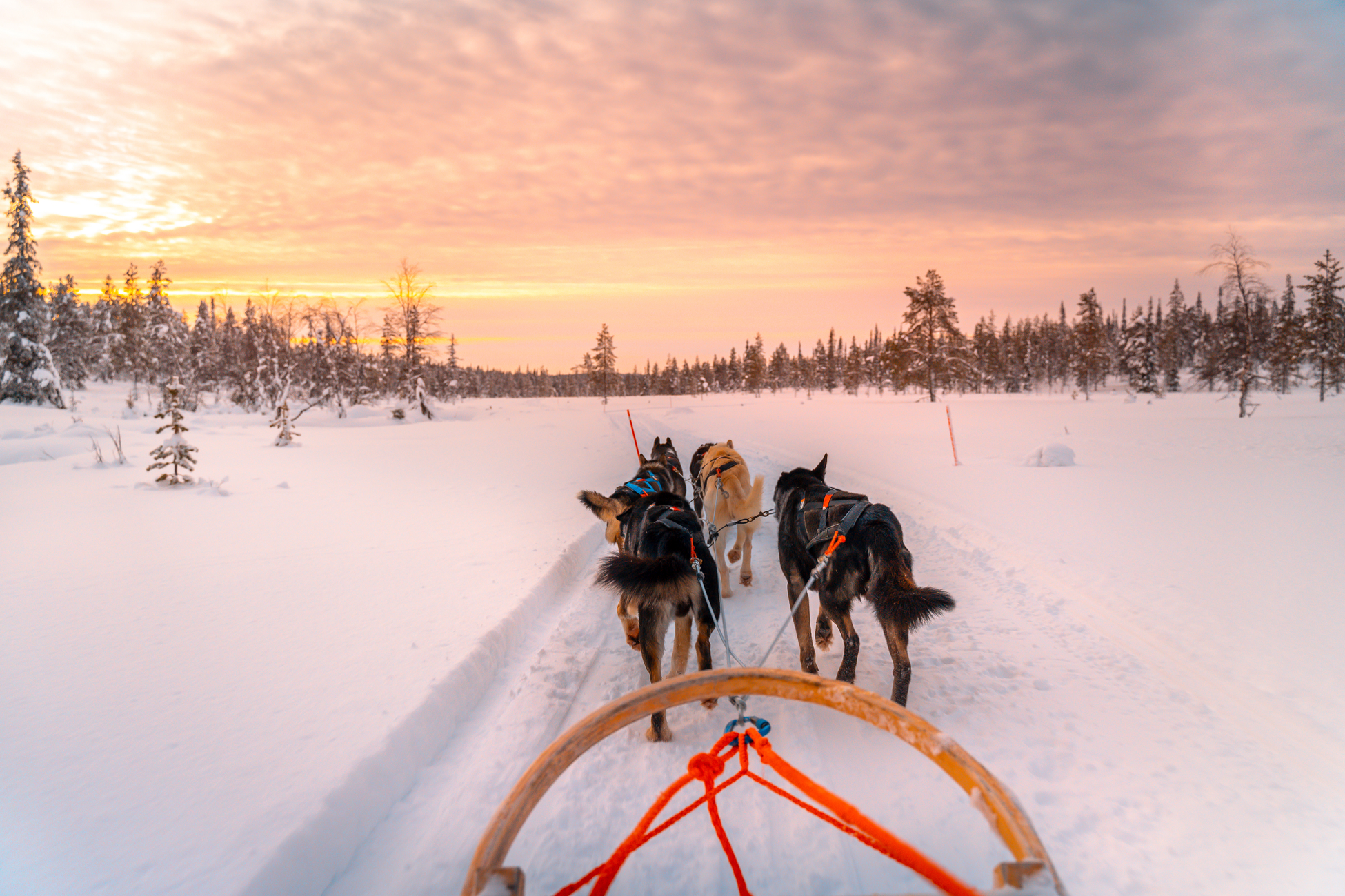 La ville de rovaniemi