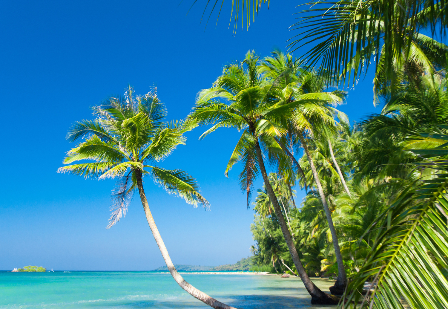 Parenthèse aux maldives