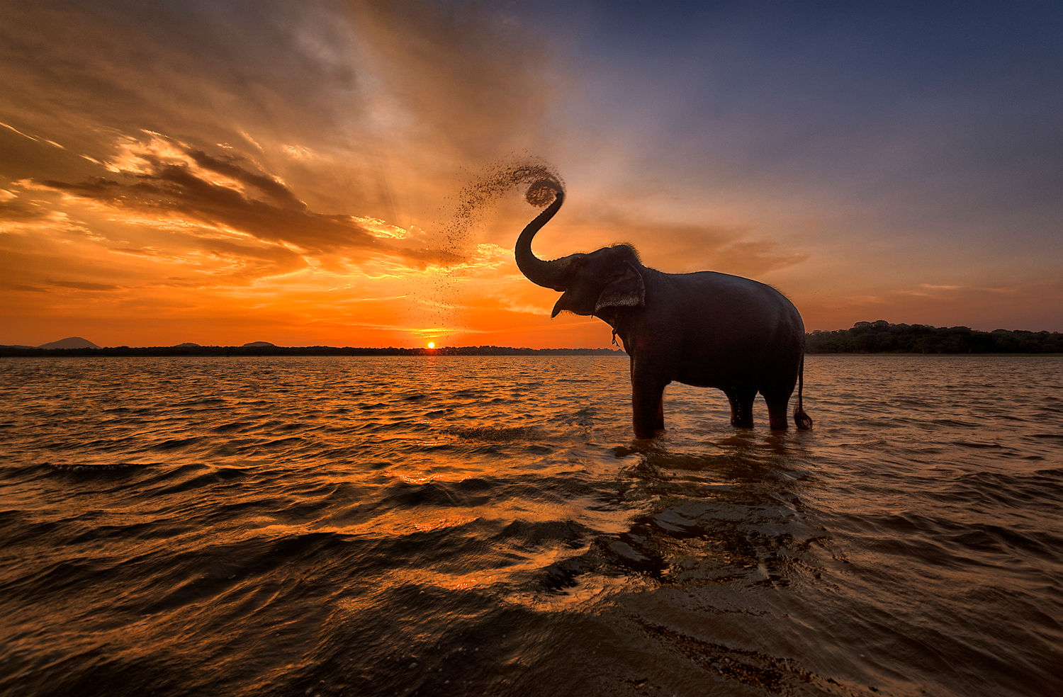 coucher de soleil au sri lanka