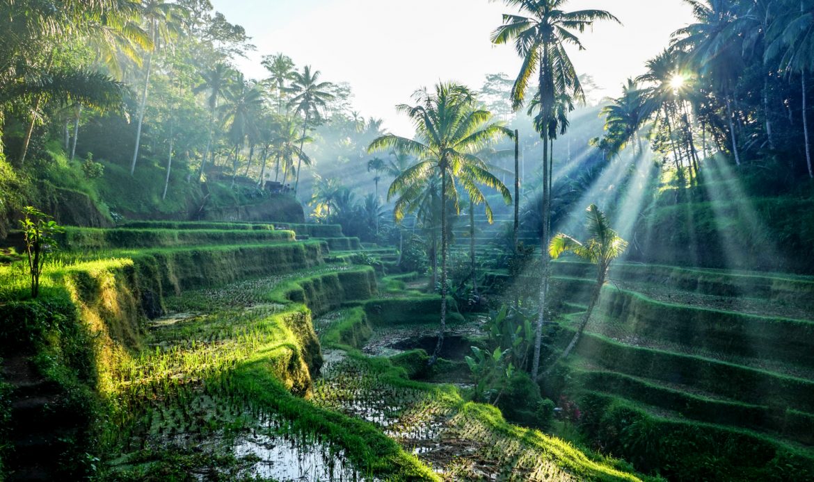 La ville de Ubud