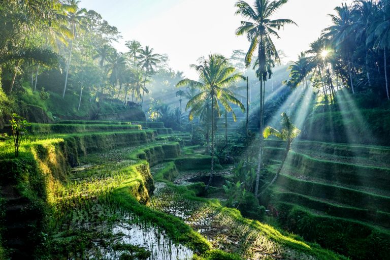 La ville de Ubud