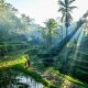 La ville de Ubud