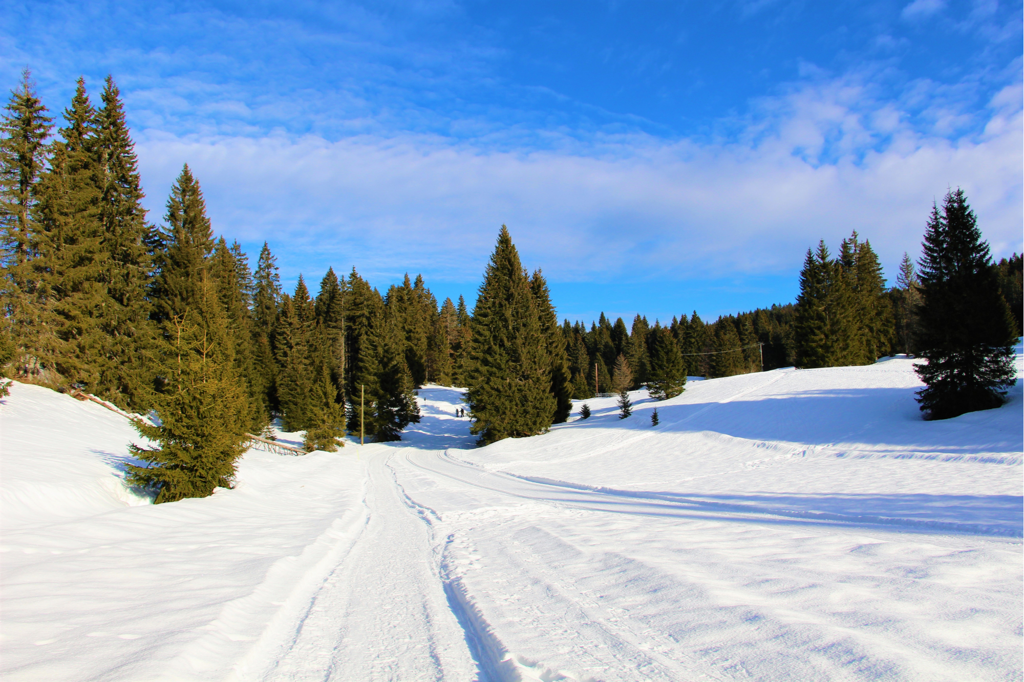 Faire du ski au Jura