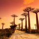 Madagascar : quand partir pour profiter du meilleur climat ?