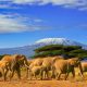 tanzanie