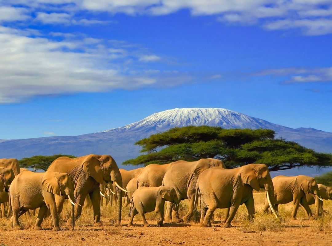 voyager seul en tanzanie