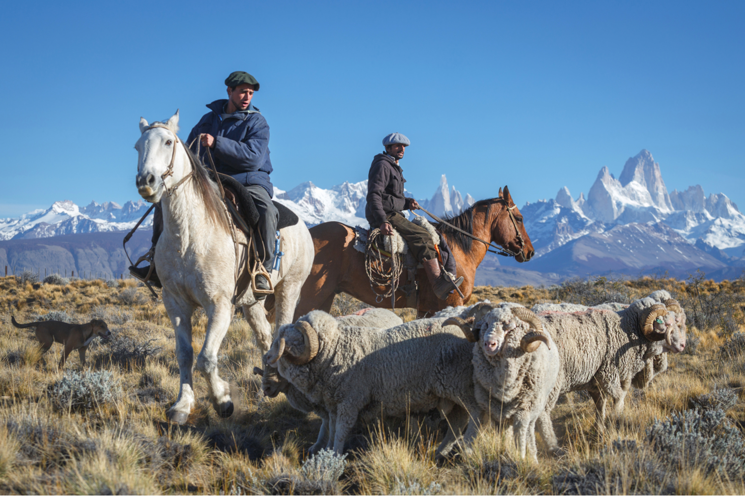 Faire du cheval en Argentine