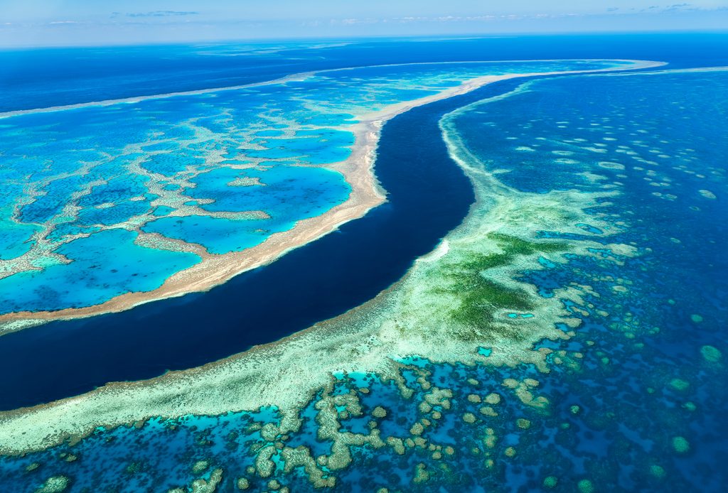 barriere de corail australie