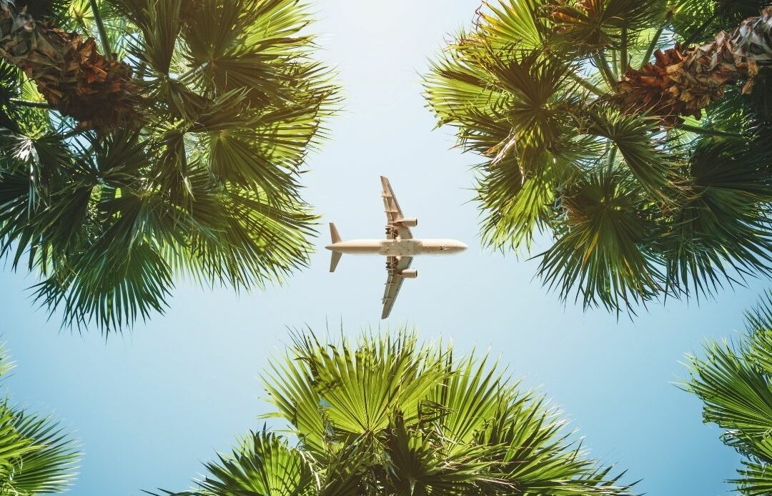 avion