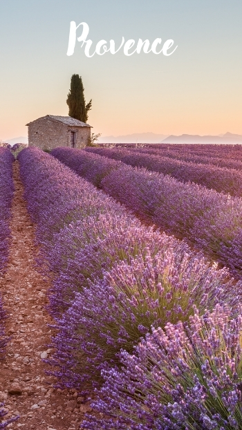 Provence