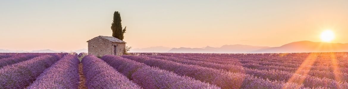 provence