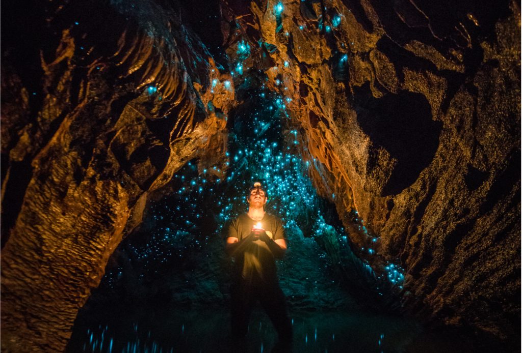 Les grottes de Waitomo (Nouvelle-Zélande)