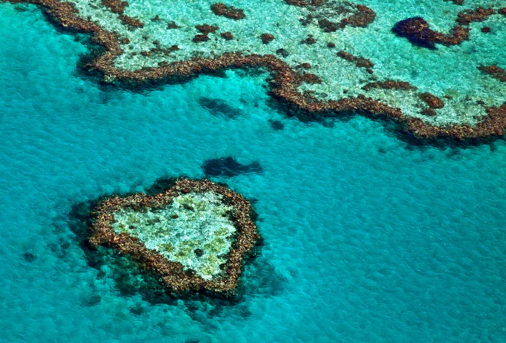 La barrière de corail (Australie)