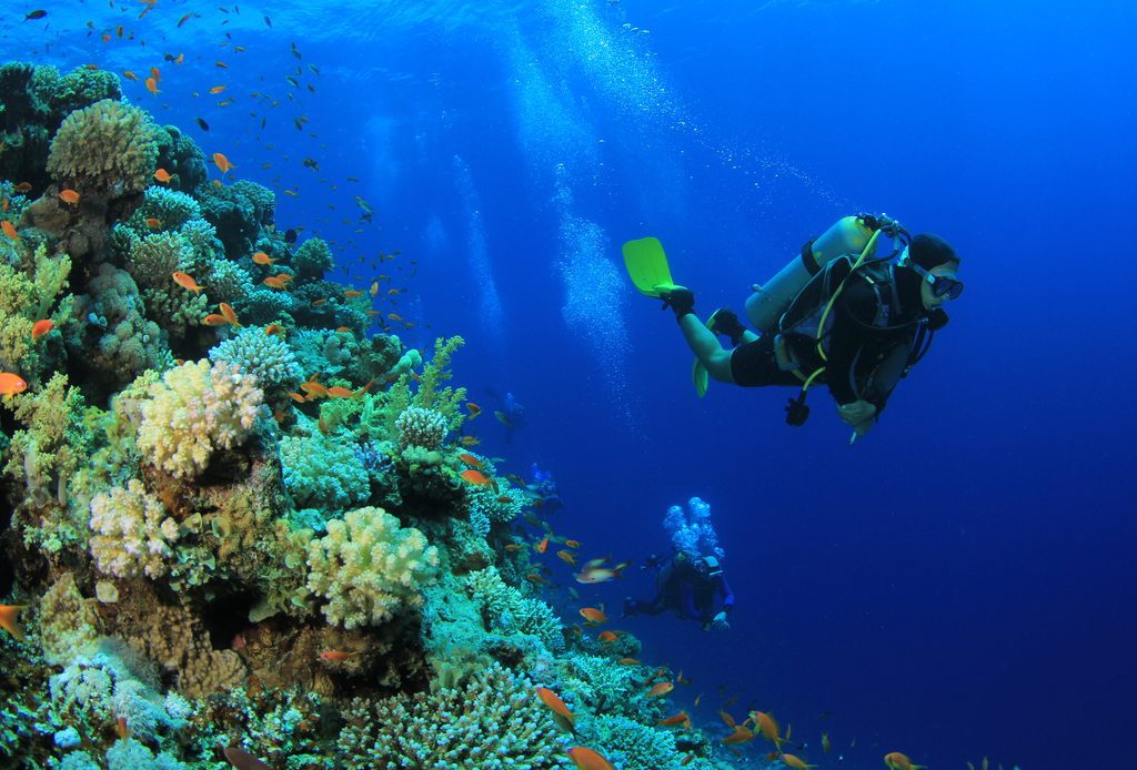 plongee sous marine maldives