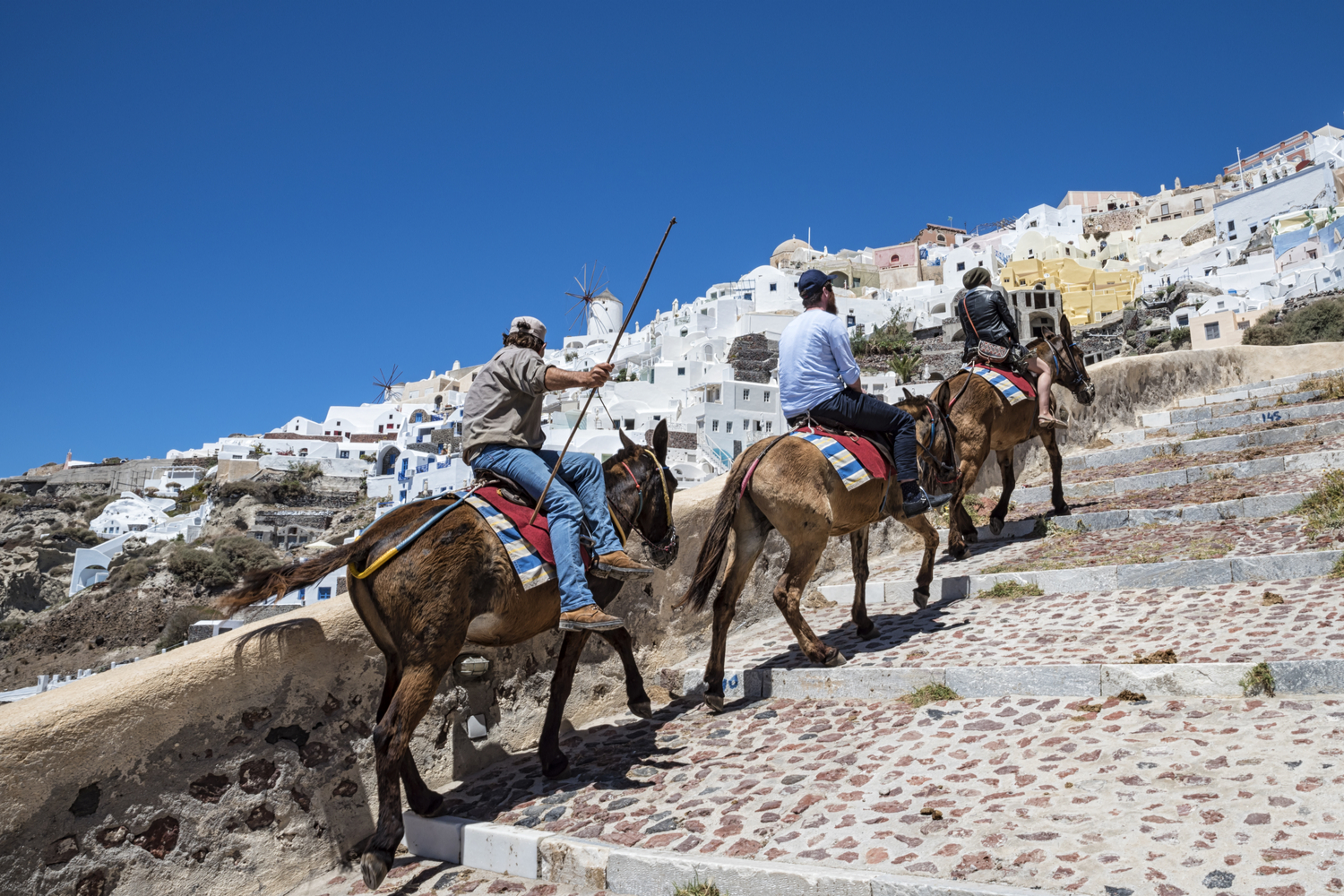 Balade en âne à Santorin