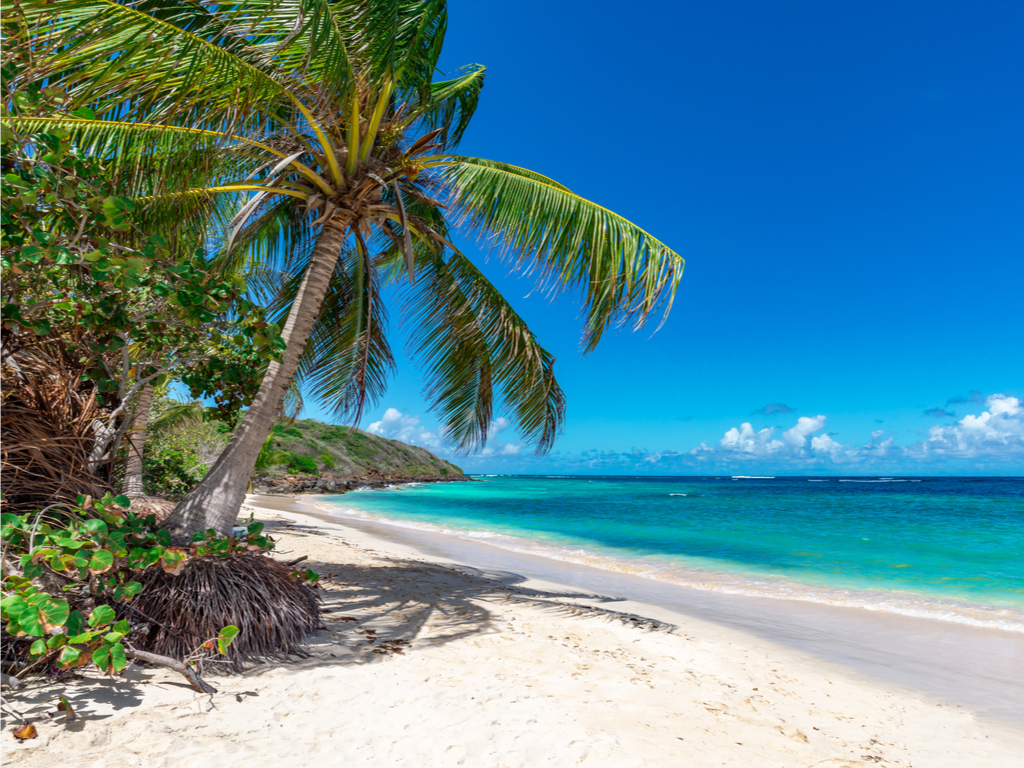 La plage de Grand Cayman