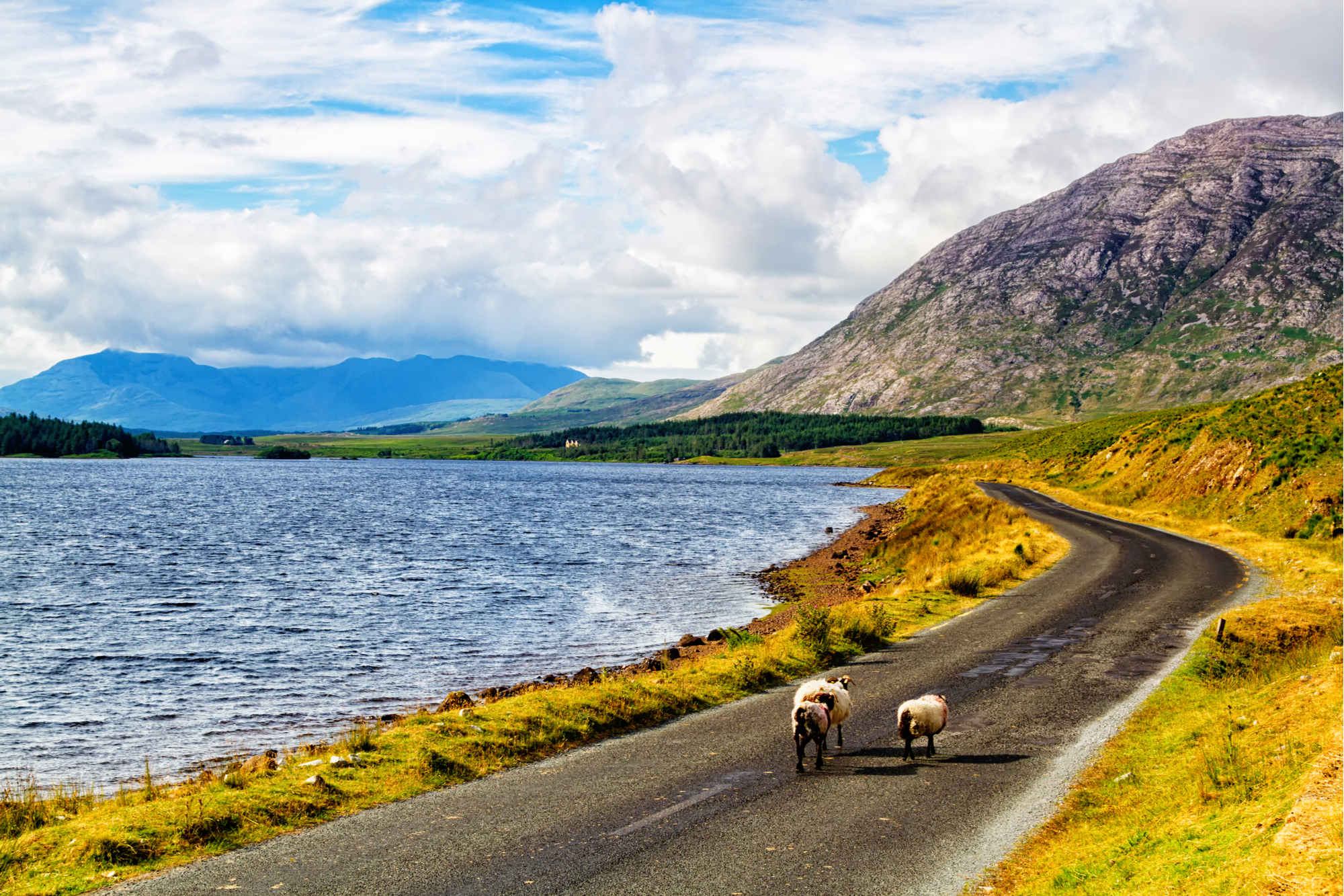 road trip 15 jours en irlande