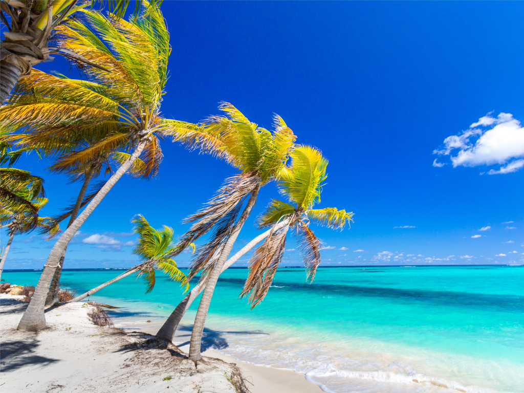 La plage de Shoal Bay East à Anguilla