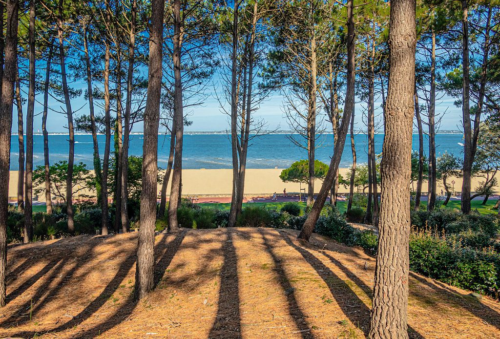 Le bassin d'Arcachon