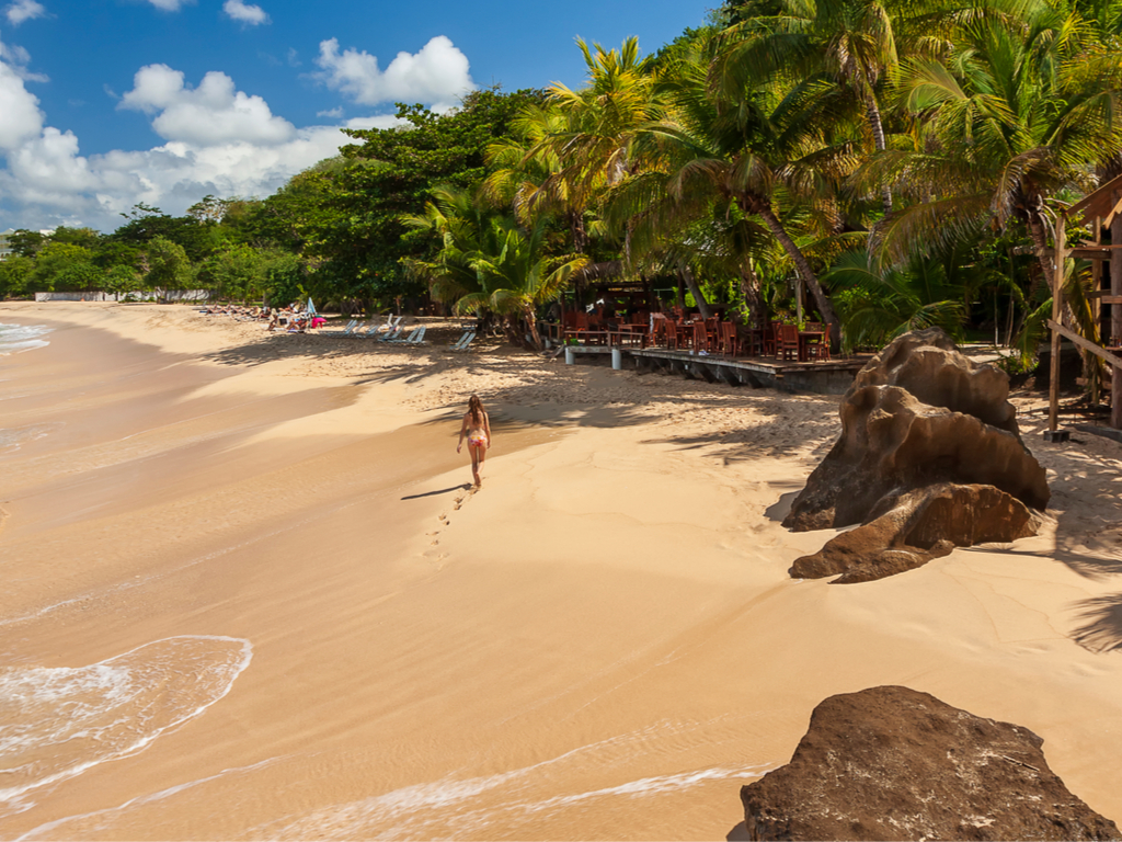 La plage de Grand Anse à Grenade