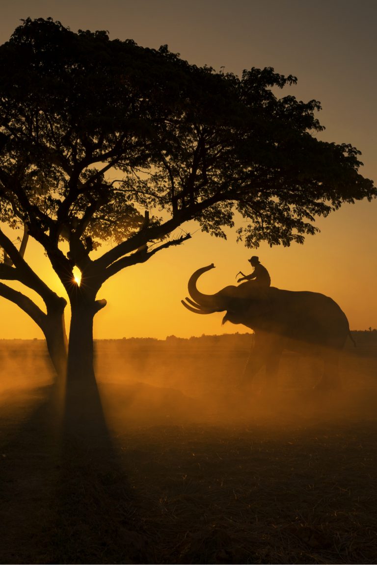 Afrique du Sud et ses hôtels