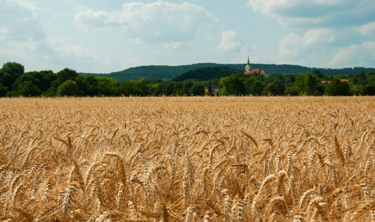 Moulins comme village