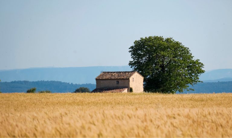 Viens dans le Lubéron