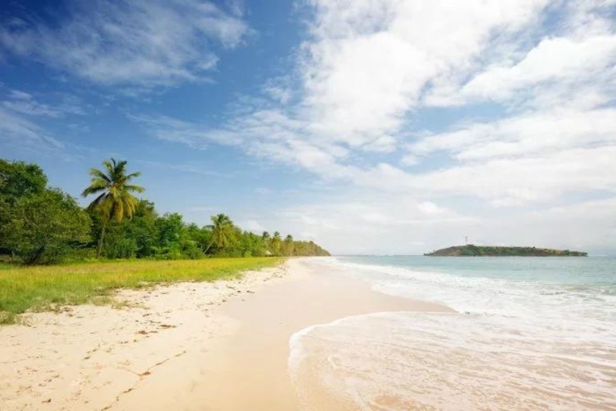 La Grande Anse des Salines