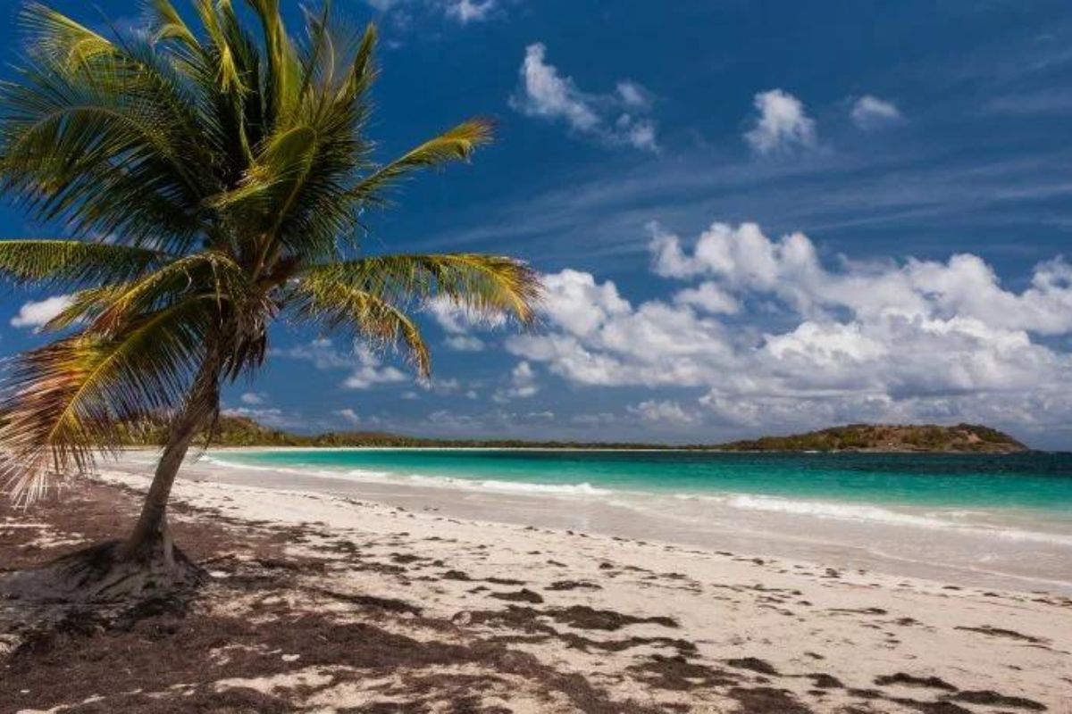 Anse Trabaud