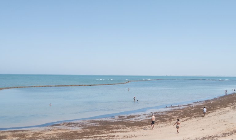 La pêche à Chipiona