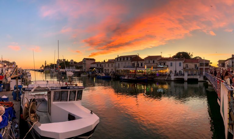 La culture de la Camargue