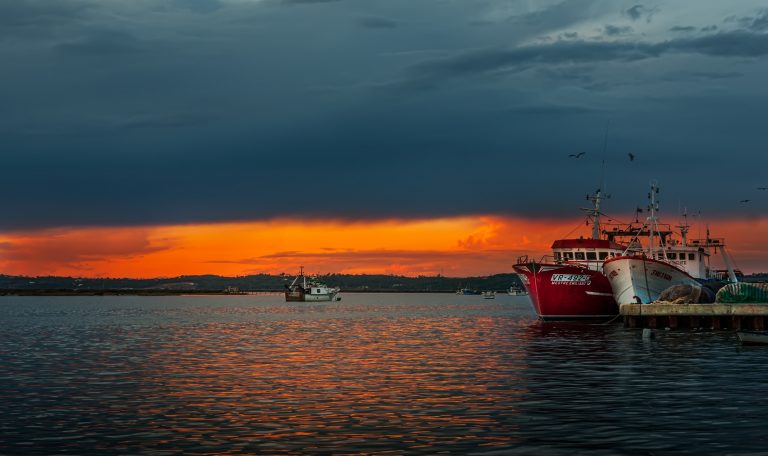 Les fêtes de l'Isla Cristina