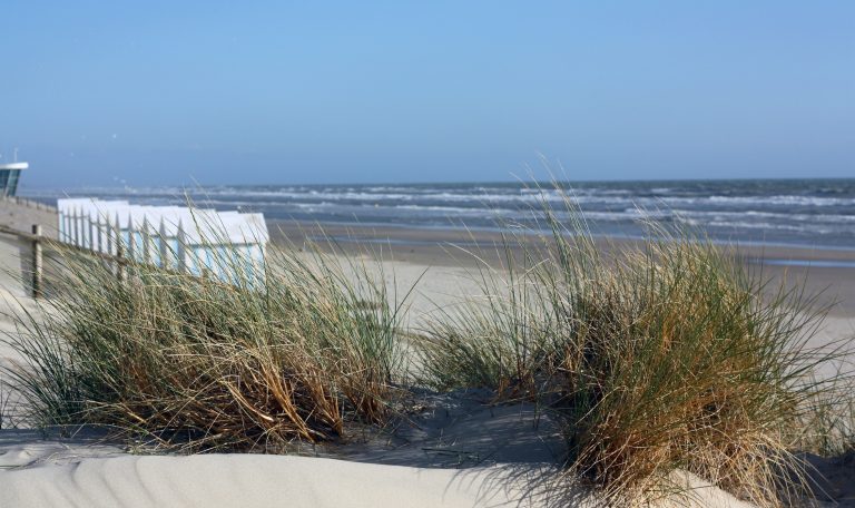 La plage à Hardelot