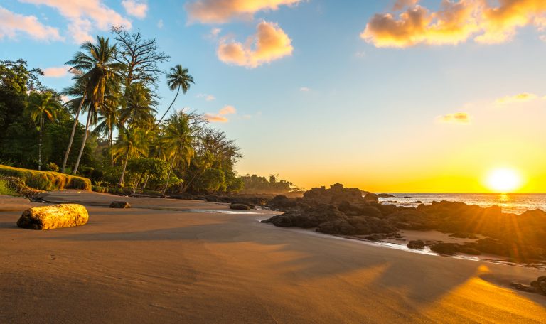 Le parc du Corcovado