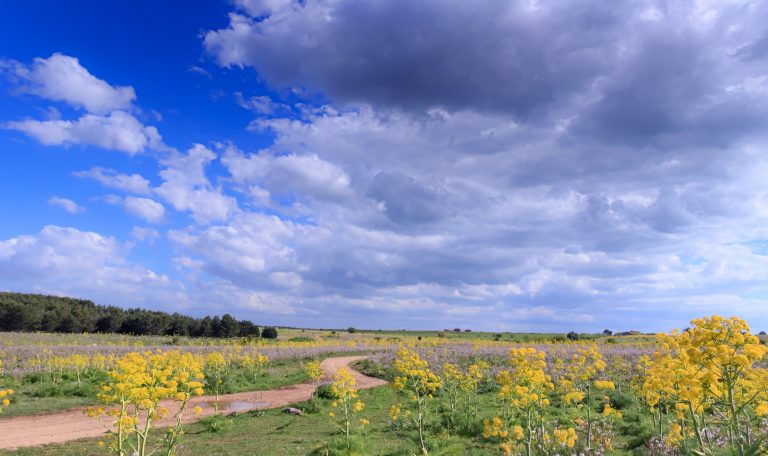 Parc naturel dans les Pouilles