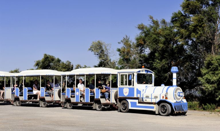 Petit Train Camargue