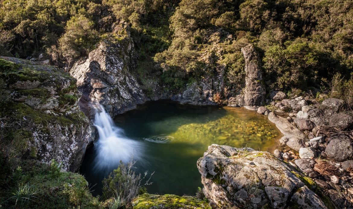 Piscine naturelle