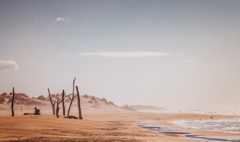 Plage de l'espiguette